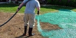 A Comprehensive Guide to Budgeting Your Lawn Care