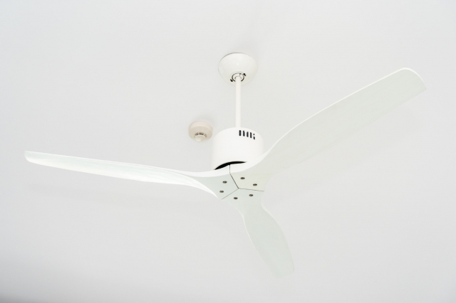 What are the Different Styles of Ceiling Fans with Lights?