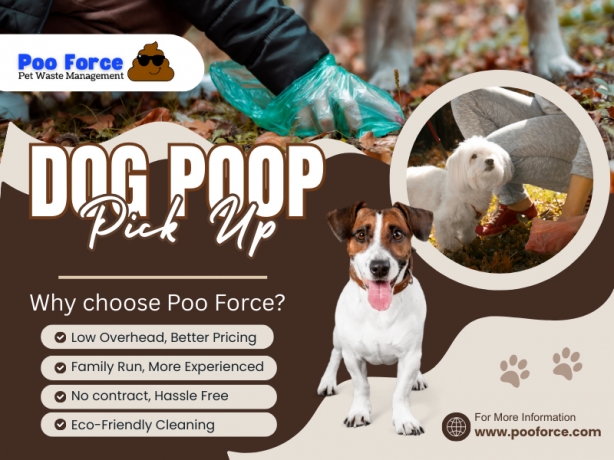 Dog Poop Pick Up Near Me