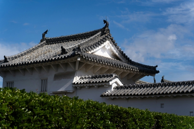 The Benefits of Flat Roofs for Urban Properties