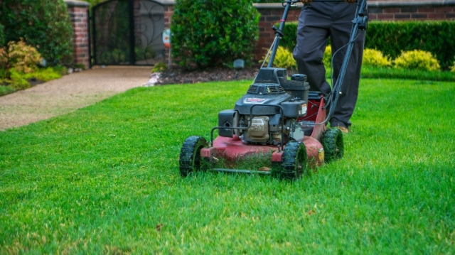 Top Lawn Care Services in Leander & Denton