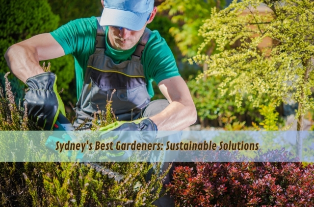 Top gardeners using eco-friendly methods