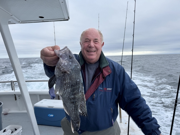 Eco-Tourism in Chiba: The Role of Kisarazu Sea Bass in Local Waters