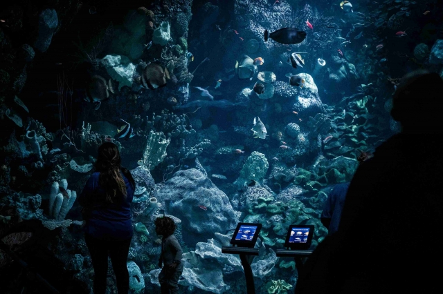 Chicago's Cultural Treasures: Your Guide to the City's Best Museums