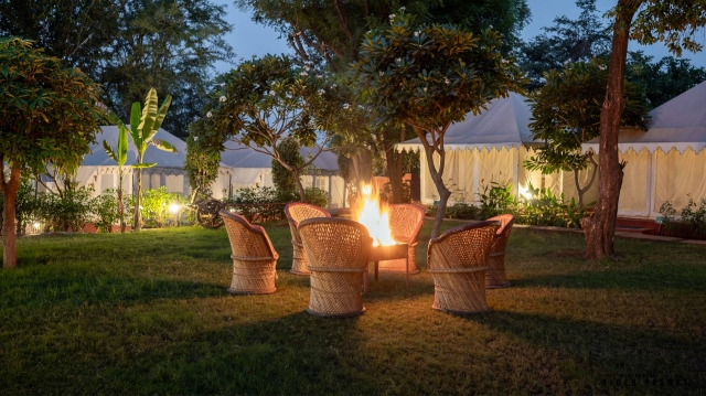 Ranthambore Weekend Getaway: AC Tent Jungle Tour Guide