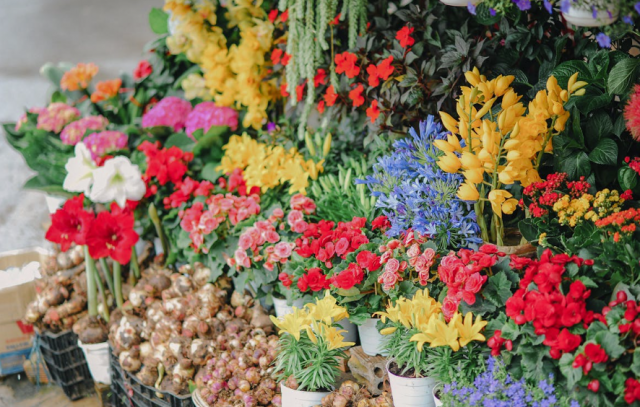 Experience Elegant Floral Arrangements with Florist Chapel Street