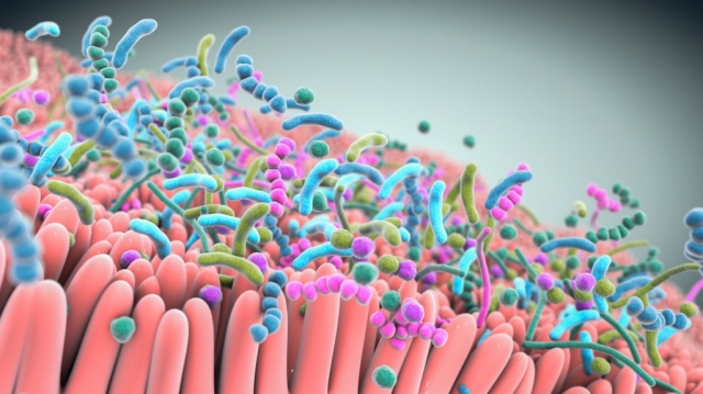 Microbiome Therapeutics Whitespace Analysis Market to Grow Rapidly Owing to Personalized Therapies