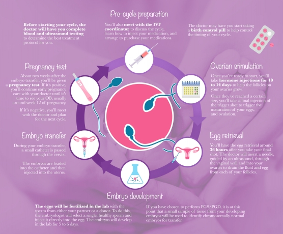 Best Time to Start IVF Treatment for Optimal Results