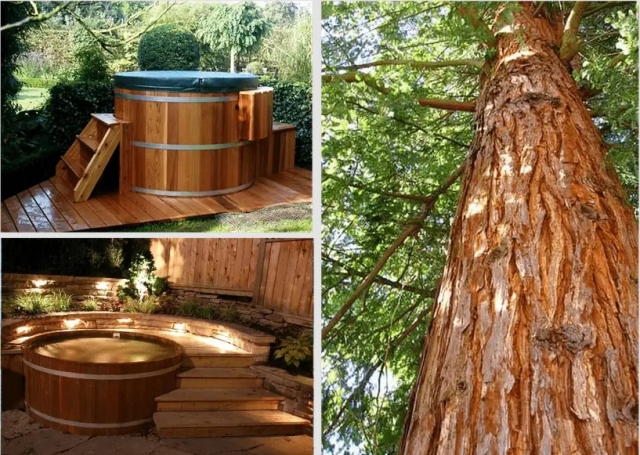 Round Hot Tub