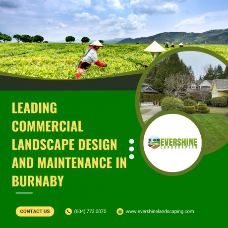 How Commercial Landscaping Enhances Your Brand Image in Burnaby
