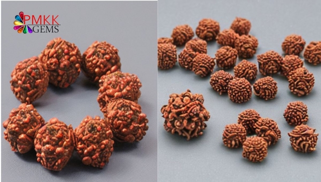 8 Mukhi Rudraksha