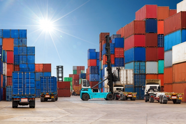 What are the IOR (Importer of Record) and EOR (Exporter of Record) in United Arab Emirates