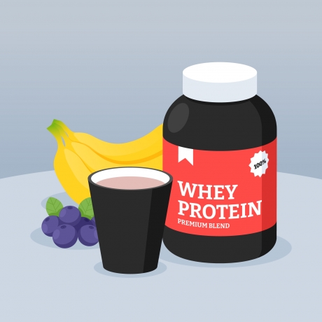 Whey Protein Market Size, Share, Future Growth, Segmentation, 2032