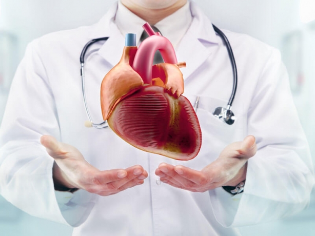 Cardiology in Dubai: Why This City Is a Hub for Heart Health