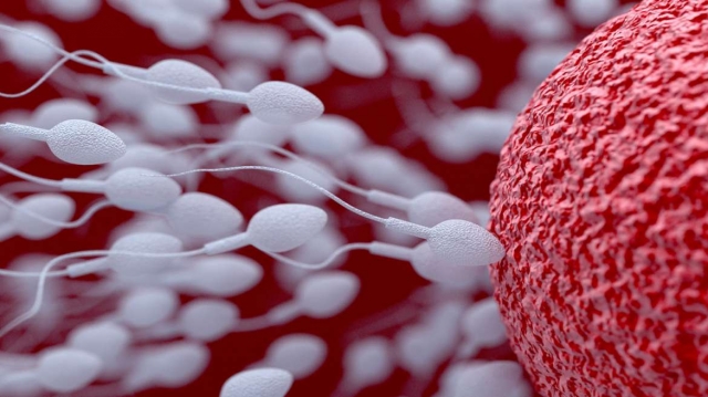 Hyperuricemia Therapeutic Market to Surge Owing to Novel Biologic Therapies