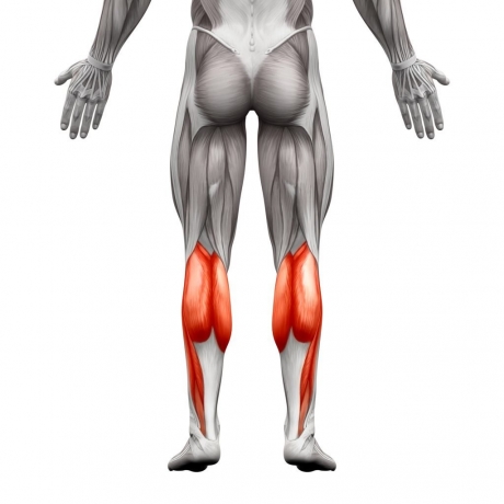 How Does Calf Reduction Affect Muscle Mass?