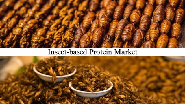 Insect-based Protein Market Size, Share, Comprehensive Analysis and Forecast Through 2029