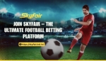 Exploring the Most Popular Football Leagues for Betting