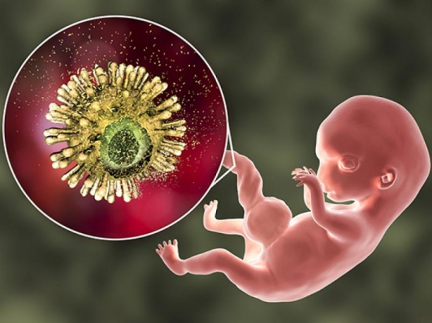 Cytomegalovirus (CMV) Infection Therapeutic Market to Surge Owing to Innovative Biologics