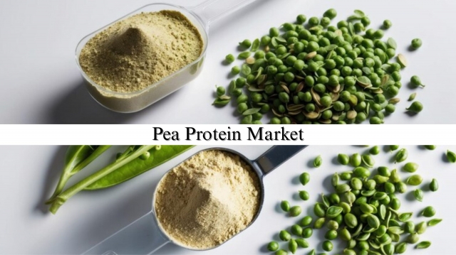 Pea Protein Market Size, Share, Industry Demand and Outlook Through 2032