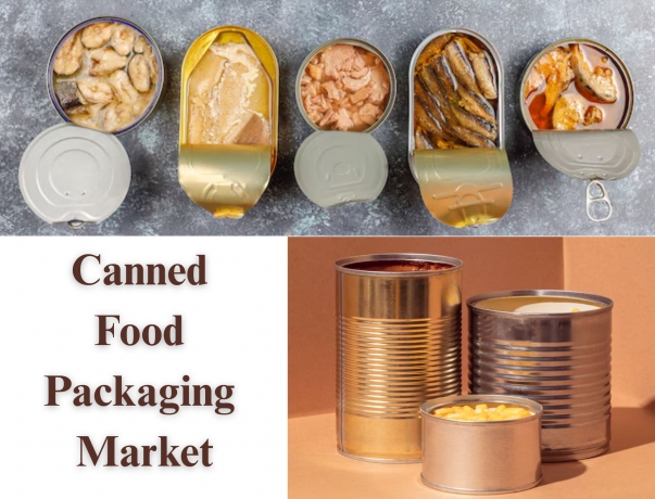 Canned Food Packaging Market Forecast 2032: Key Insights and Future Outlook