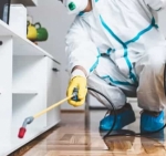 The Importance of Regular Pest Inspections and Control: Protect Your Home and Family