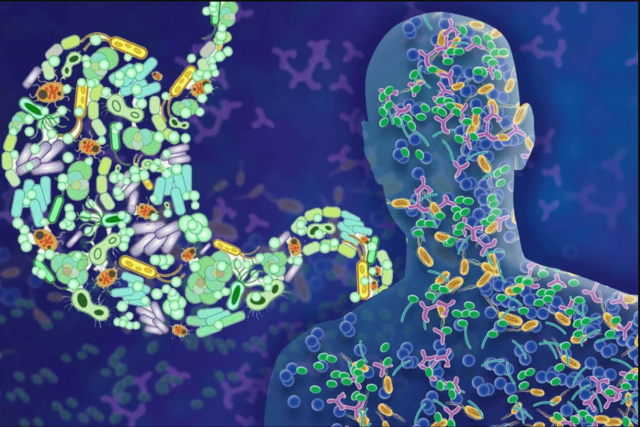 Human Microbiome Market Driven by Metabolic Disorder Treatments