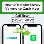 Step-by-Step Guide on How to Transfer Money from Venmo to Cash App