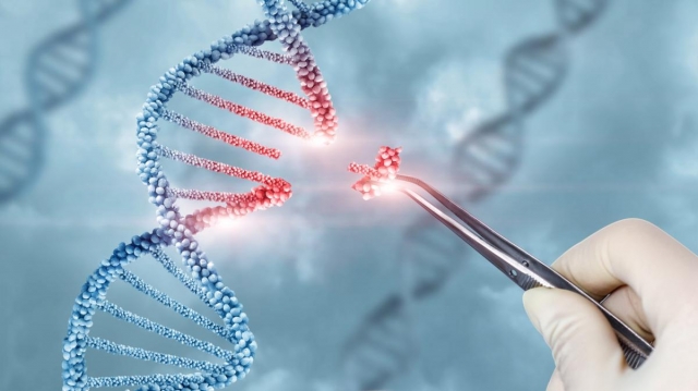 TCR Therapy Market to Grow with Precision Immunotherapy Adoption