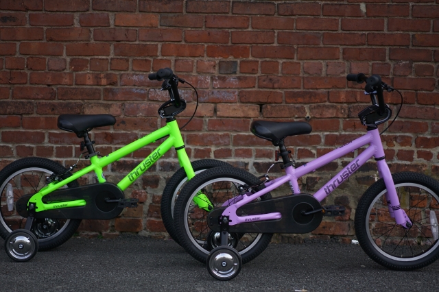 5 Reasons to Celebrate Summer with Family Bike Rides