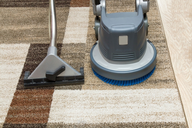Transform Your Home with the Best Carpet Cleaning Services in Flagstaff