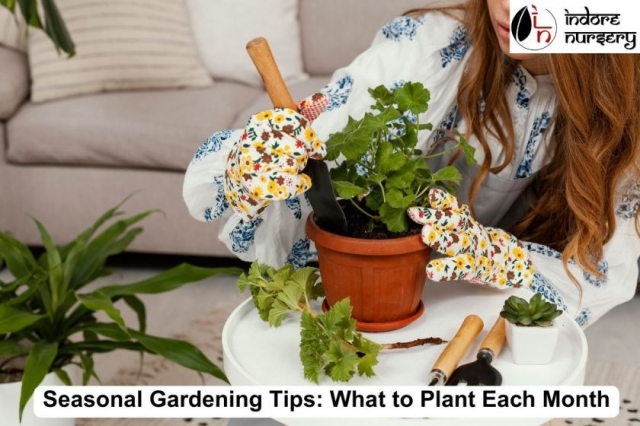 Seasonal Gardening Tips: What to Plant Each Month