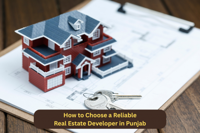 How to Choose a Reliable Real Estate Developer in Punjab
