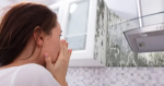 Stay Ahead of Hidden Hazards: The Importance of Mold Testing in Culver City Homes