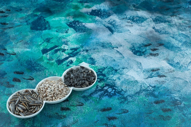 “Premium Plant-Based Fish Feed Market Trends, Growth & Forecast [2025–2030]”