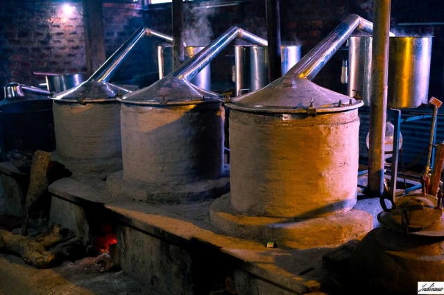 Agarwood Oil Processing Plant Cost 2025: Raw Materials Requirement and Detailed Project Report