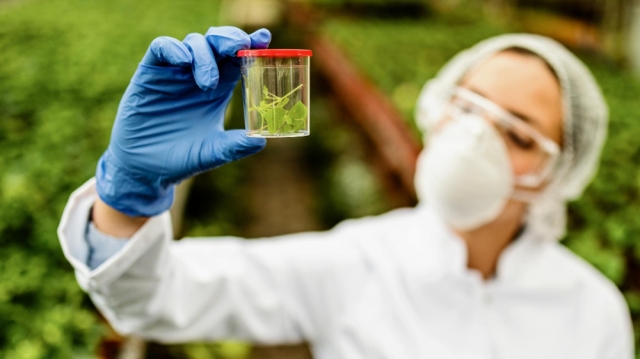 Biocides Market Outlook 2025: Trends Driving Demand in Healthcare, Water Treatment, and Industrial Applications
