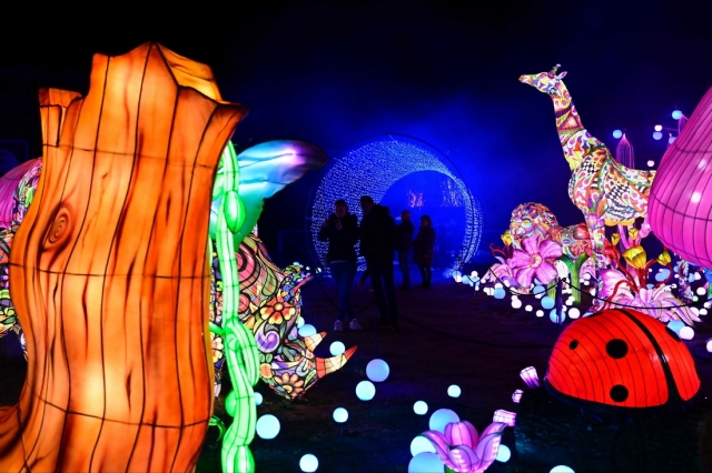 Just a Few Steps to Understanding the Chinese Lantern Making Process