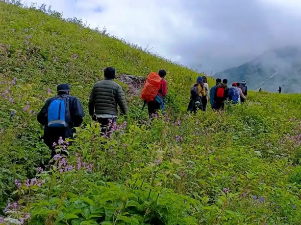 Valley of Flowers 2025 – Ultimate Guide with Trek The Himalayas