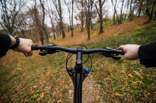 From Polar Bears to Grizzly Bears: Why Electric Hunting Bikes are Ideal for Wildlife Tracking