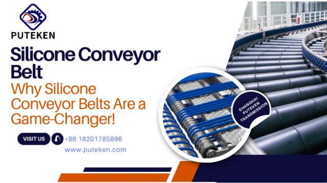Heat, Hygiene, and High Performance: Why Silicone Conveyor Belts Are a Game-Changer!