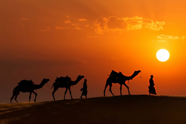 Best Cultural Tours of India: Discover the Heart of Indian Heritage