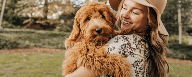 Dog Registration 101: How to Get Papers for a Dog