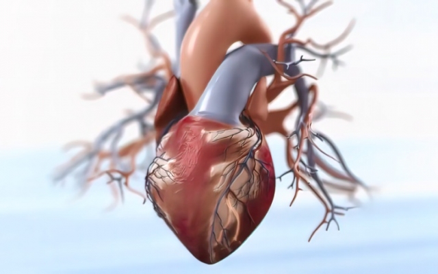 Acute Coronary Syndrome Market Growth Driven by AI Diagnostic Imaging
