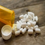 North America Synthetic Opioids Market Rises with Clinical Demand