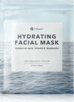 It Works! Hydrating Facial Mask