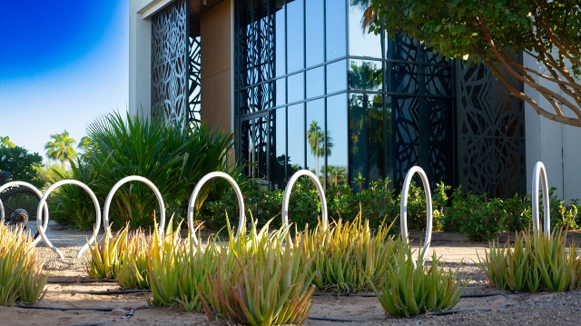 How a Landscaping Company in Saudi Arabia Can Boost Your Property Value