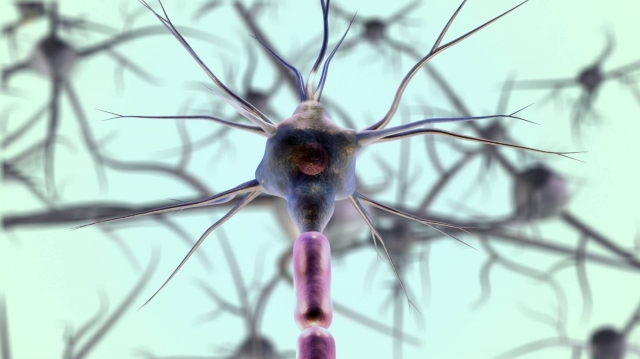Giant Axonal Neuropathy Market is in Trends by Gene Therapy Innovations 