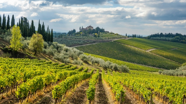 Tuscany Tours from Rome: Montepulciano Wine & Saturnia Springs Day Trips