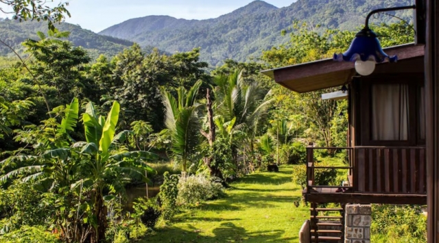 Adventure & Friendship: Jungle Safari Itinerary for Friend Groups